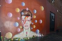 LONDON, BRIXTON, ENGLAND - 11 JANUARY 2016: David 