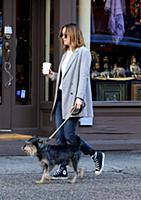 Actress Dakota Johnson walks her dog Zeppelin in t