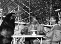 Кадр из фильма 'Необыкновенный город', СССР, 1963.