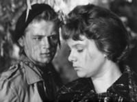 Кадр из фильма 'Шурка выбирает море', СССР, 1963. 