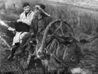 Кадр из фильма 'Дорога уходит вдаль', СССР, 1959. 