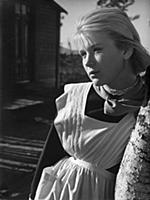 Кадр из фильма 'Дикая собака Динго', СССР, 1962. Н