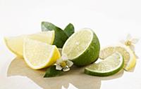 Lemon & Lime, Citrus limon & citrus aurantiifolia.
