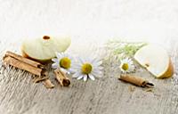 Chamomile, Chamaemelum nobileon. Three flowers arr