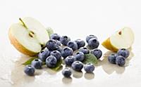 Blueberry, Vaccinium corymbosum cultivar. Several 