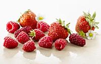 Raspberry, Rubus idaeus cultivar and Strawberry, F