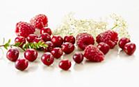 Cranberry, Vaccinium oxycoccos, several berries wi