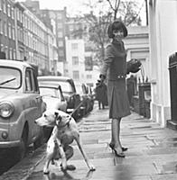 Mary Quant and dalmatian dog in Chelsea, London, 1