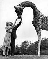 Armand and Michaela Denis meet a giraffe at Whipsn