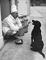 Chef Andrew Schillar gives a dog a bone from the s