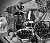 Jam making
stoning cherries for jam
1954