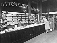Ditton Court Farm - tea room counter.
Ditton, Ken
