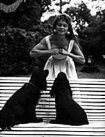 Stars Star actress Hollywood Movie Stars Movie Sta