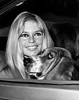 Brigitte Bardot - French film star
Pictured arriv