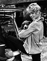 movie star Brigitte Bardot BB Garden Car Park Dog 