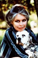 BRIGITTE BARDOT BUCHAREST WILL SAVE STREET DOGS Th