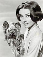 Uppa.co.uk -  Audrey Hepburn actress born Belgium.