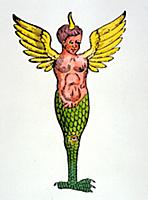 Monsters.
Monster with single horn, wings and a b