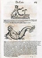 Illustration depicting sea monsters, from 'medici 