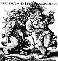 Bolikana D H Markolfus
