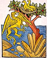 MONSTERS - GRIPHONS.  According to the 1491 editio