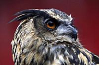 National News and Pictures. 
26/08/15
PH: Adam Dav