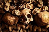 NATIONAL PICTURES

Spooky sightseers can spend H