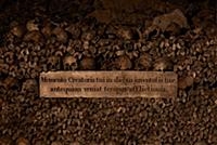NATIONAL PICTURES

Spooky sightseers can spend H