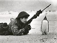 Soldier and penguin on a beach in the Falkland Isl