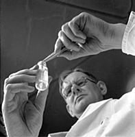 Operation Rat - April 1955
The science of rodent 