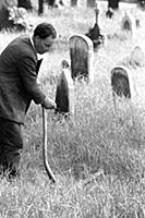The Brompton Cemetery, which lies between London's