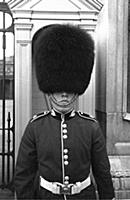 Bearskins:
The soldiers of the Grenadiers, the Co