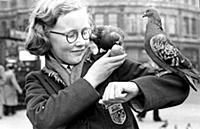 Pigeon Square - June/July 1955
Everyday life amon