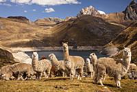 Фотографии горного массива Анд (Andes), Перу, 2012