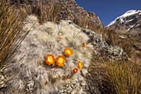 Фотографии горного массива Анд (Andes), Перу, 2012