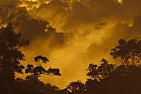 Sunset over rainforest, Amazon, Ecuador