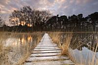 Boardwalk over lake, Buurse, Netherlands