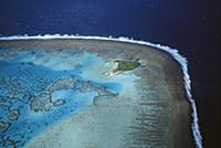 One Tree Island and reef, Capricorn-Bunker group, 