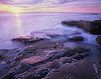 Atlantic coast near Thunder Hole, Acadia National 