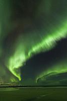 'Northern lights above beach, Lofoten Islands, Nor