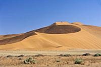 Sand dune, Sossusvlei, Naukluft National Park, Nam