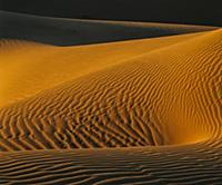 Sand dune, Mojave Desert, California