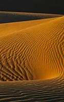 Sand dune, Mojave Desert, California