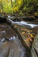 Small cascade, Kitchen Creek, Ricketts Glen State 