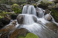 Cascade Creek, Yosemite National Park, California