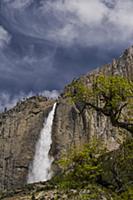 Yosemite Falls in spring, Yosemite National Park, 