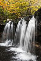Oneida Falls, Kitchen Creek, Ricketts Glen State P