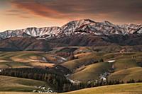 Rolling farmland in winter, South Canterbury, New 