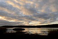 View of wetland habitat at sunset, Leighton Moss R