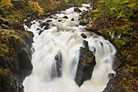 View of waterfall on river in deciduous woodland, 